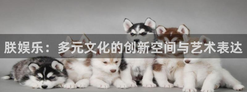 百达娱乐：朕娱乐：多元文化的创新空间与艺术表达