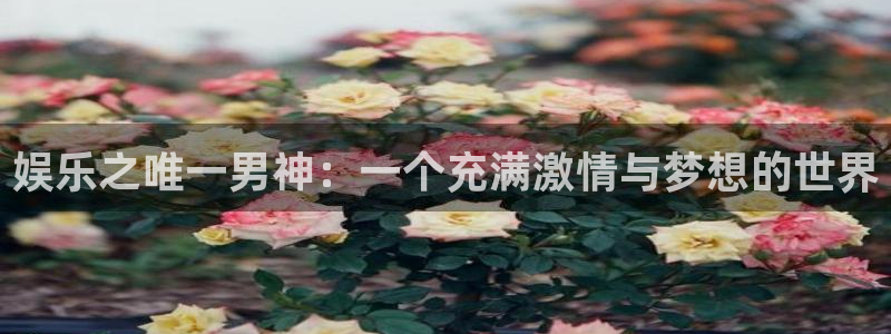 百达娱乐：娱乐之唯一男神：一个充满激情与梦想的世界